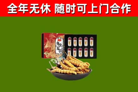 达川回收冬虫夏草价格